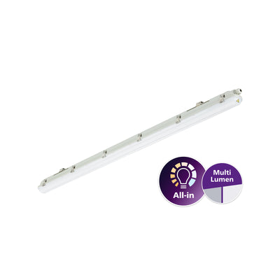 Philips WT065C LED waterproof light 30-53W 4000K 4100-6800 lumens IP65 IK08 1507mm Gray