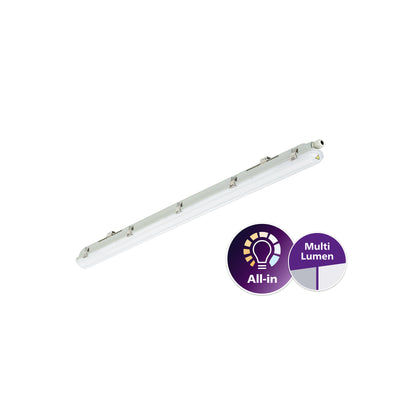Philips WT065C LED waterproof luminaire IP65 IK08 23-42W 4000K 2900-4800 lumens 1207mm gray