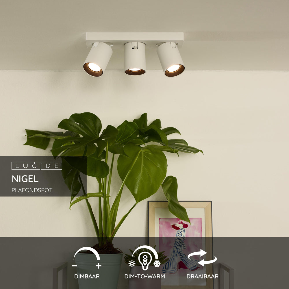 Lucide NIGEL LED Deckenstrahler, 3x5W GU10 dim to warm 2200K-3000K, verstellbares Aluminium Weiß, IP20