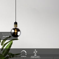 Lucide JULIUS hanging lamp, 1xE27, smoke glass shade Ø20cm, black wood and gold metal, 220-240V, IP20