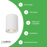 Spectrum Rohrleiter runder weißer LED Deckenstrahler mit verstellbarer GU10 Fassung