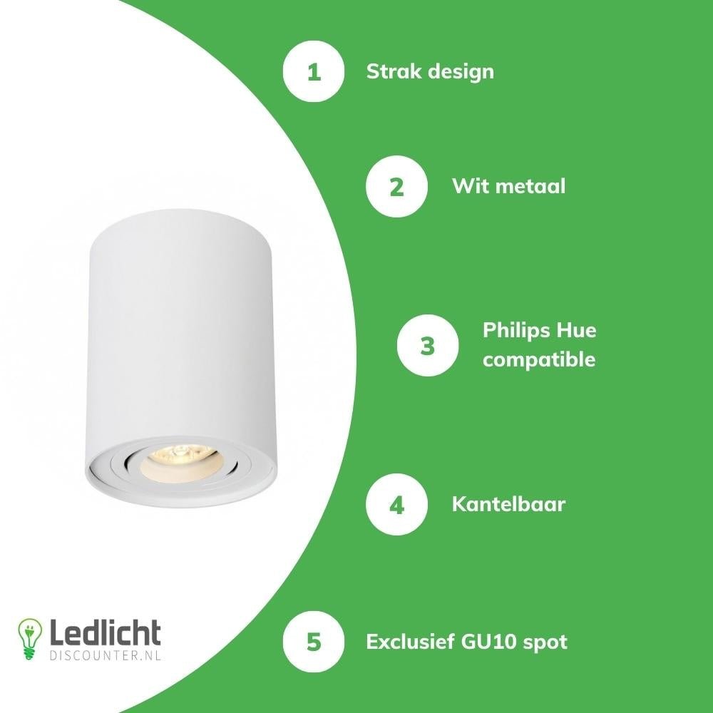 Spectrum Rohrleiter runder weißer LED Deckenstrahler mit verstellbarer GU10 Fassung