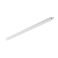 Philips WT210C LED waterproof light 54W 4000K 7000 lumens IP69K IK06 1640mm White housing CE RoHS