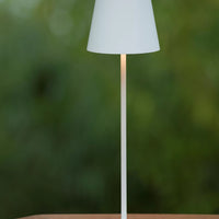 Lucide LED Lamp 1521 useful lumens, 3000K, 10.5W, Replaces 1250W, 5-year warranty, Aluminum Matte Gold