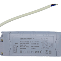 Lcb dimmbarer LED-Treiber für 36W/40W LED-Panel, 30-42V 1000mA, IP20, Triac-Phasenanschnitt