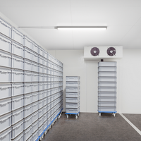 Philips WT060C LED waterproof batten light, 46W 4000K, 5600 lumens, IP66 IK08, 1558mm Gray