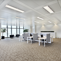 Philips MAS LEDtube HF 1200mm HO 14W T8 4000K for efficient lighting