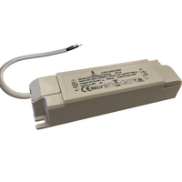 Tsong LED panel driver 40W 27-42V 1000mA non-dimmable, IP20 flicker-free, CE RoHS certified