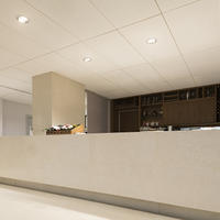 Philips CorePro LED PLL 24W 830 2G11 3000K 3200 lumen energy-efficient lighting