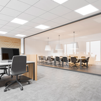 Philips LED panel light 595x595mm 22W-31W 3000K-4000K 2900-4300 lumens DALI dimmable UGR19 IP20/44 White
