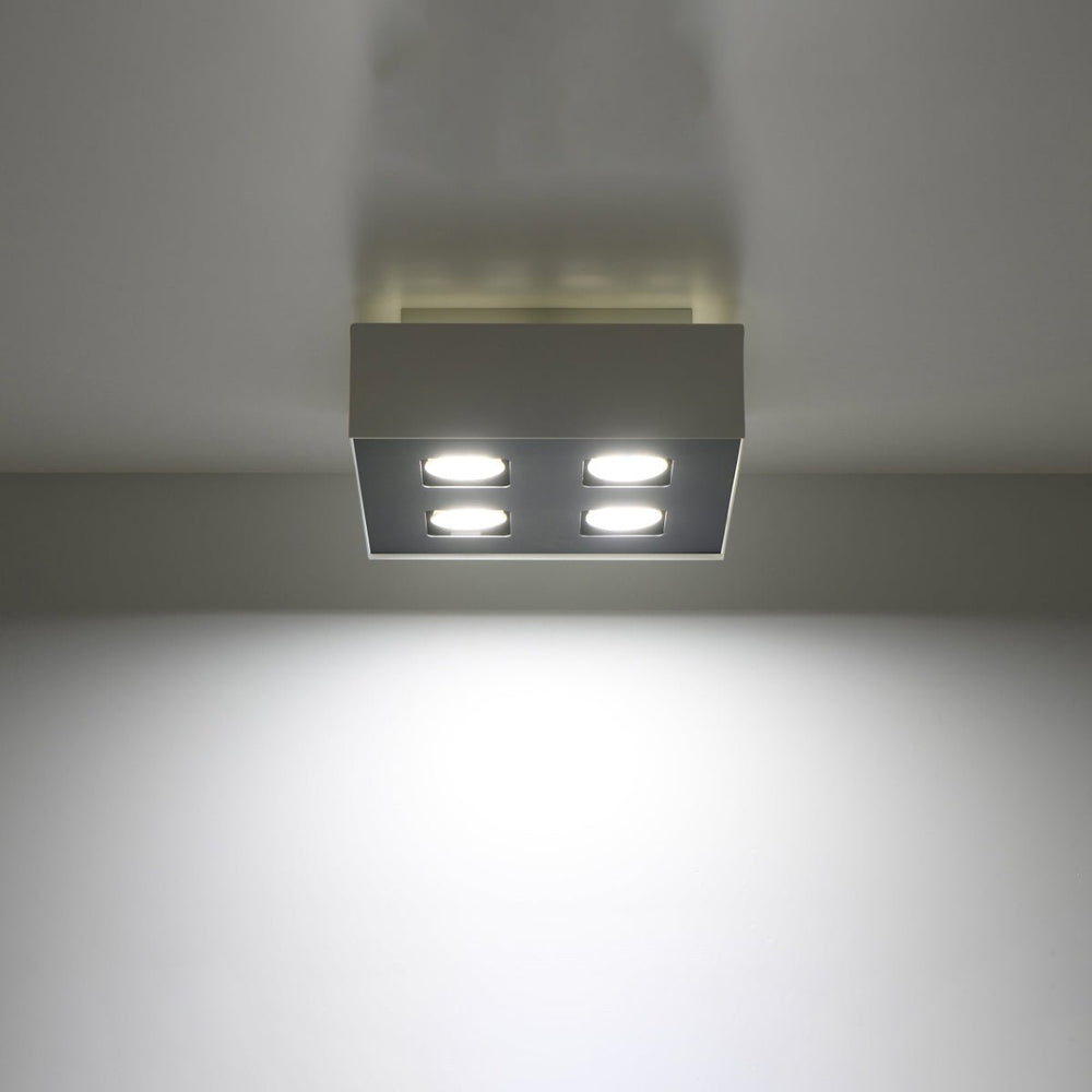 Mono LED ceiling spotlight 4 white by Sollux Lighting with 220-240V input, IP20, 50-60Hz